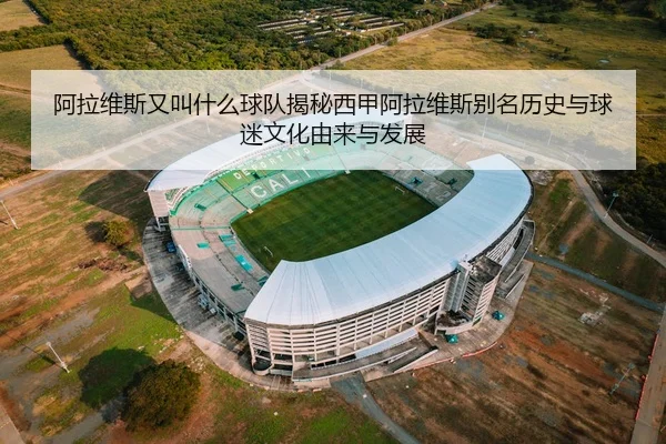 a-la-wei-si-you-jiao-shen-me-qiu-dui-jie-mi-xi-jia-a-la-wei-si-bie-ming-li-shi-yu-qiu-mi-wen-hua-you-lai-yu-fa-zhan-2-603.jpg